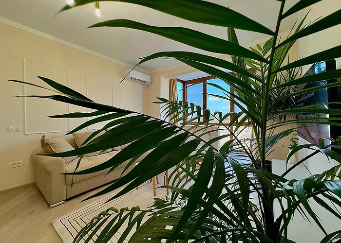 Station With Self Check-in Timişoara